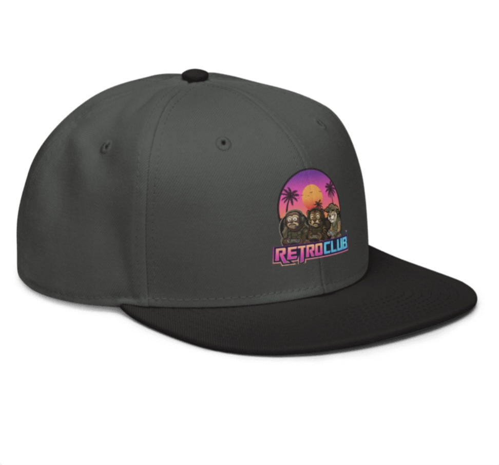 Frustrated Gamer Dog, sloth and tiger sunset paradise,retro snap back design - Image 3